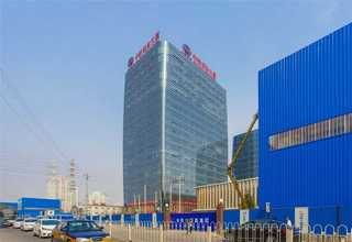 钟楼区发财树租赁