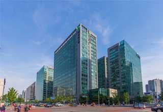 静安区开业绿植花卉租赁厂家